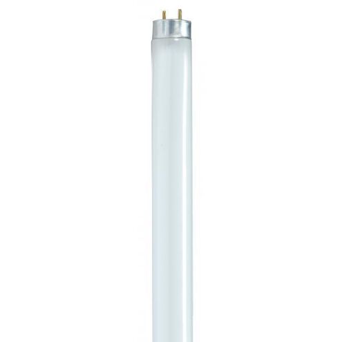 Lumos Fluorescent 17 watt 3000K Light Bulb, T8 Linear