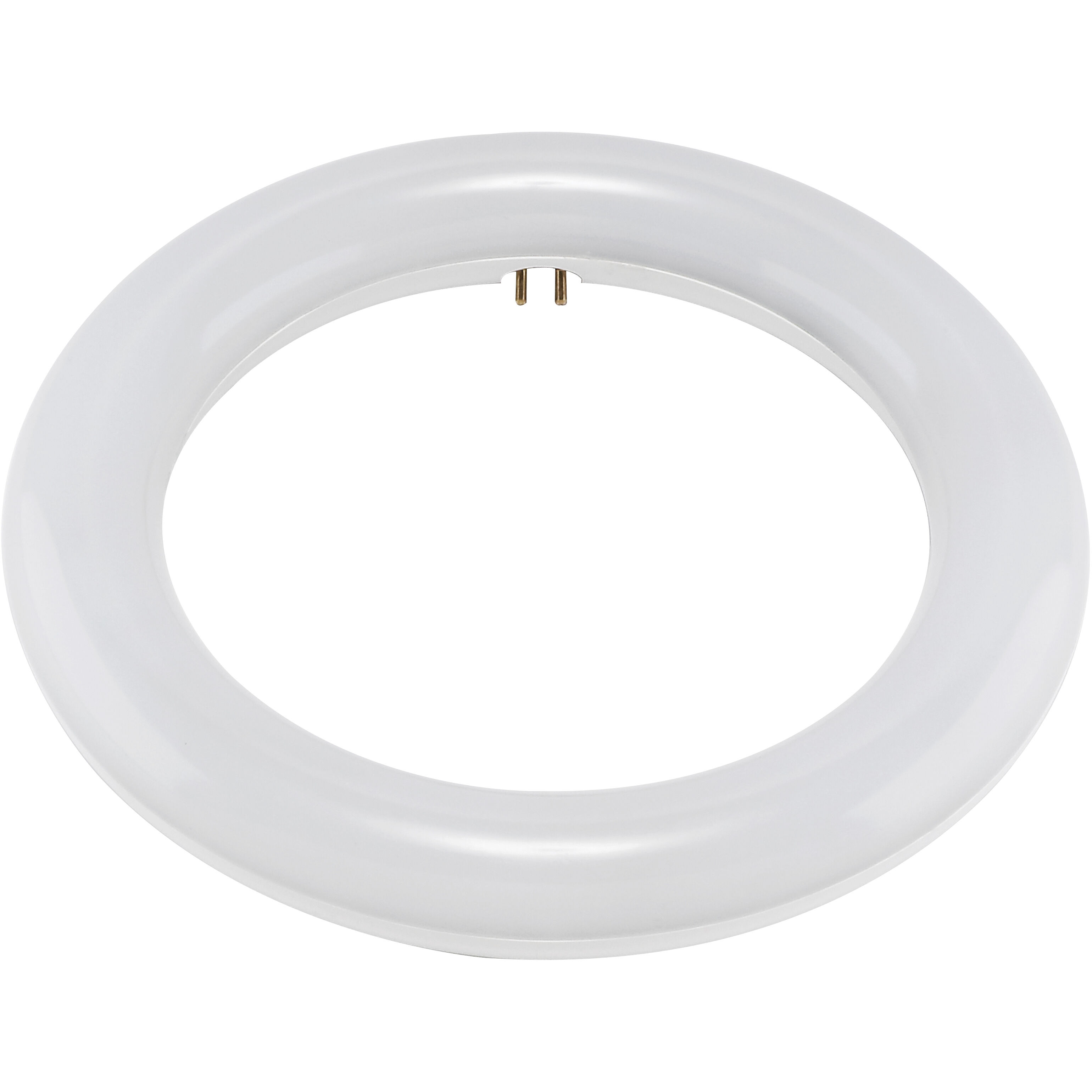 Circline LED T9 4-Pin 11 watt 120V 4000K Light Bulb