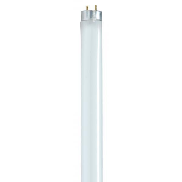 Lumos Fluorescent 25 watt 4100K Light Bulb, T8 Linear