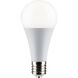 Lumos Mogul 36.00 watt 2700 Utility Lamp