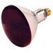 Lumos Incandescent R40 Medium E26 250 watt 120V Light Bulb