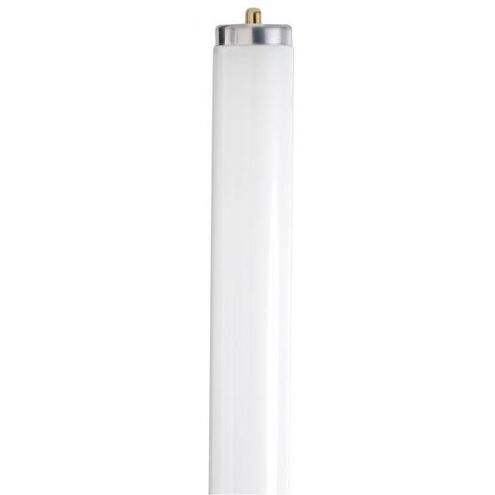 Lumos Fluorescent 59 watt 3500K Light Bulb, T8 Linear