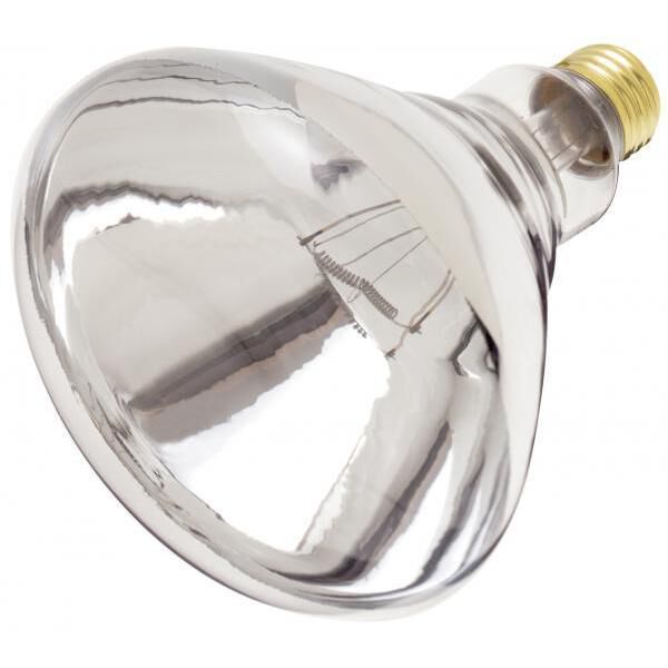 Satco S4999 Lumos Incandescent R40 Medium E26 250 watt 120V 2700K Light Bulb