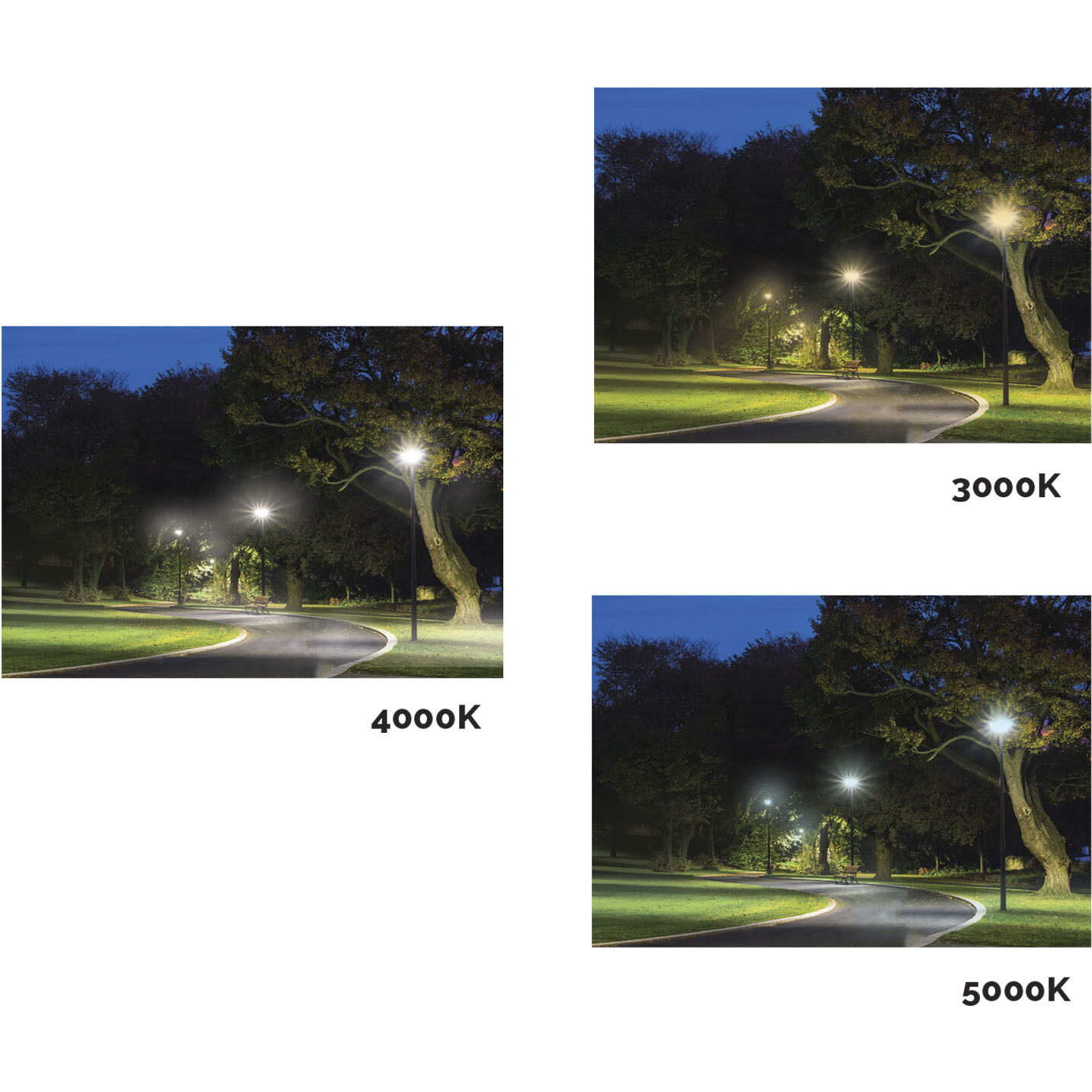 Lumos LED Corncob 80.00 watt 3000K HID Replacements Bulb