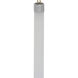 Signature LED T5 Miniature Bi Pin 4 watt 120V 3000K Light Bulb