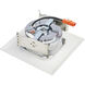 ColorQuick Integrated LED White Retrofit