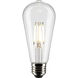 Lumos LED Medium Medium 5.00 watt 4000K LED Filament