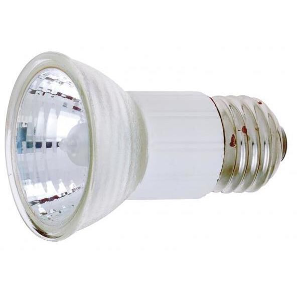 Lumos Halogen JDR Medium E26 75 watt 120V 2900K Light Bulb