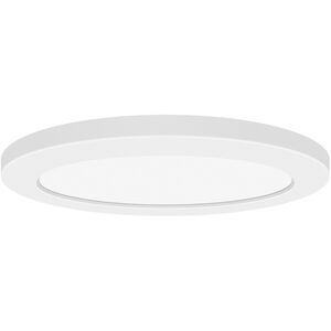 Slim LED 12 inch White Flush Mount Ceiling Light