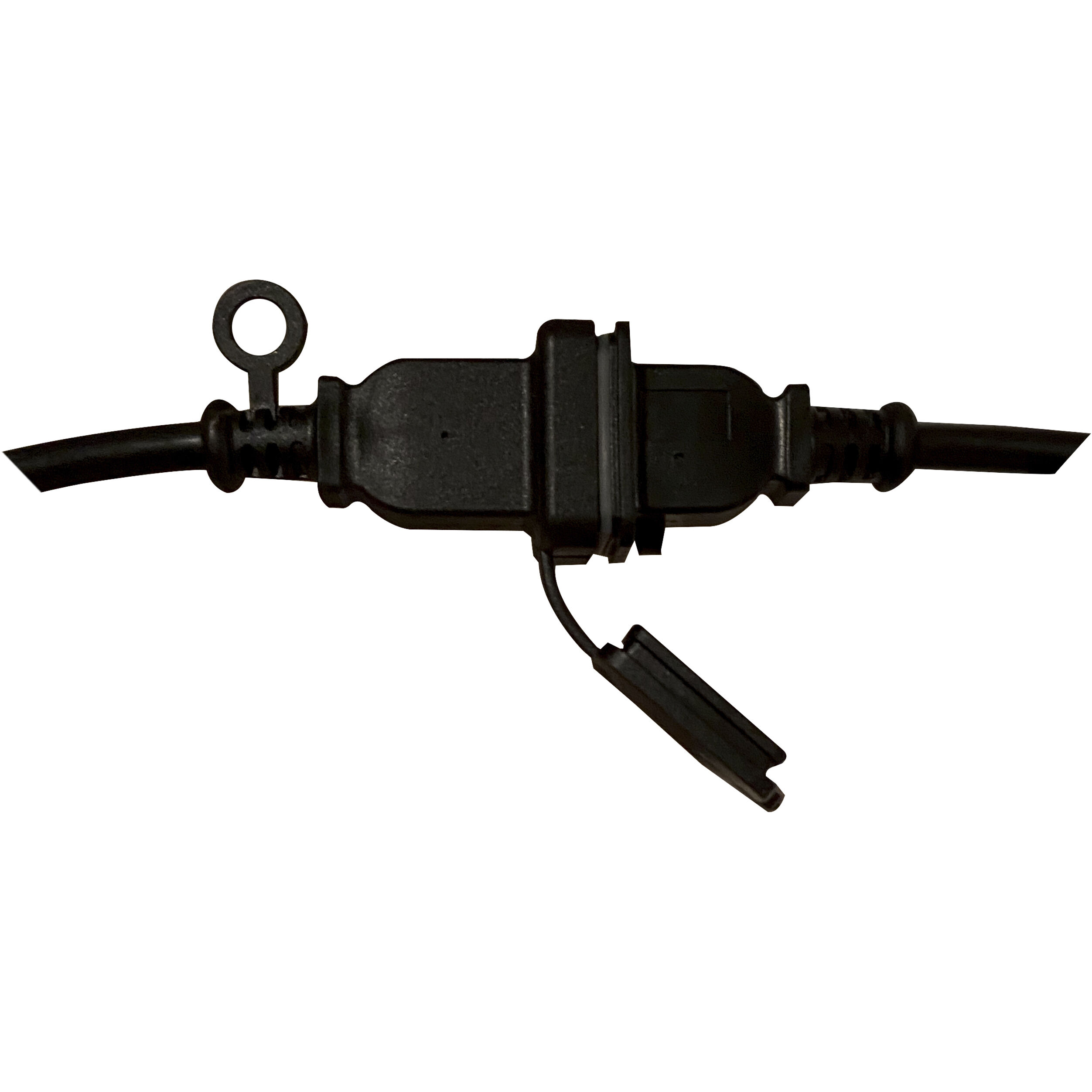 Edgewood 12 Light LED 24 foot Black LED String Light