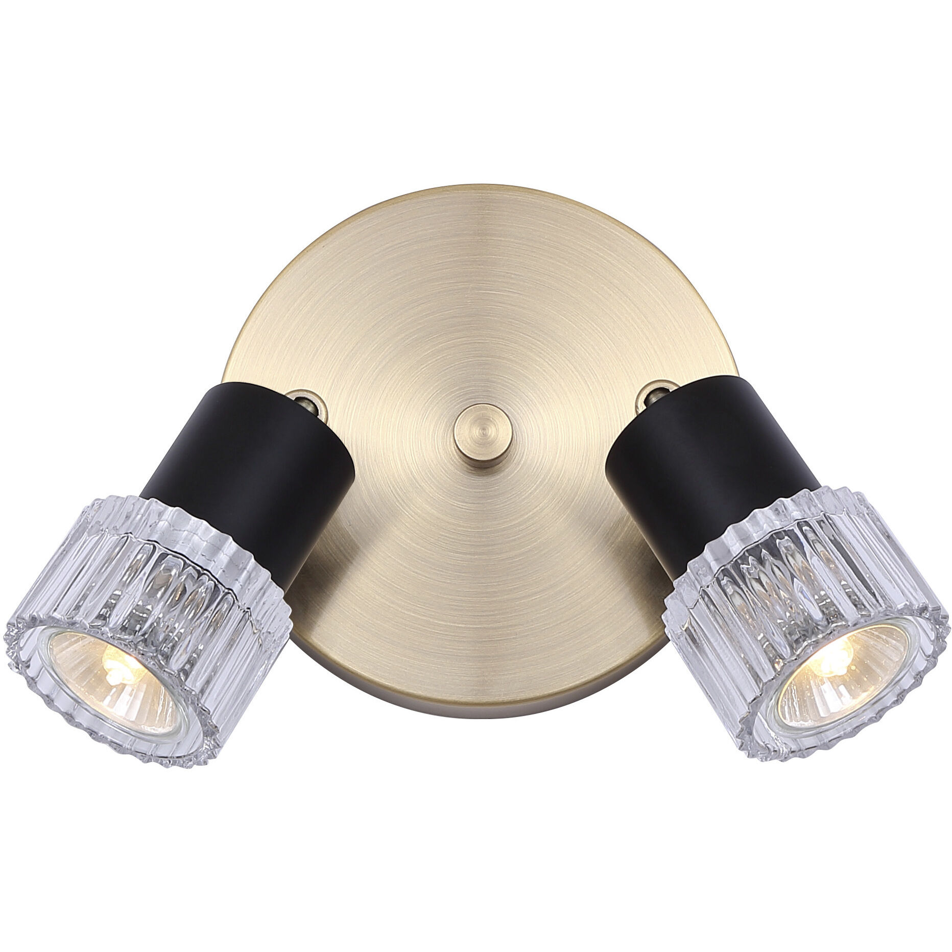 Elsee 2 Light Black/Gold Track Lighting Ceiling Light