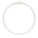 Lumos Fluorescent 40 watt 3500K Light Bulb, Circline - T5-T6-T9
