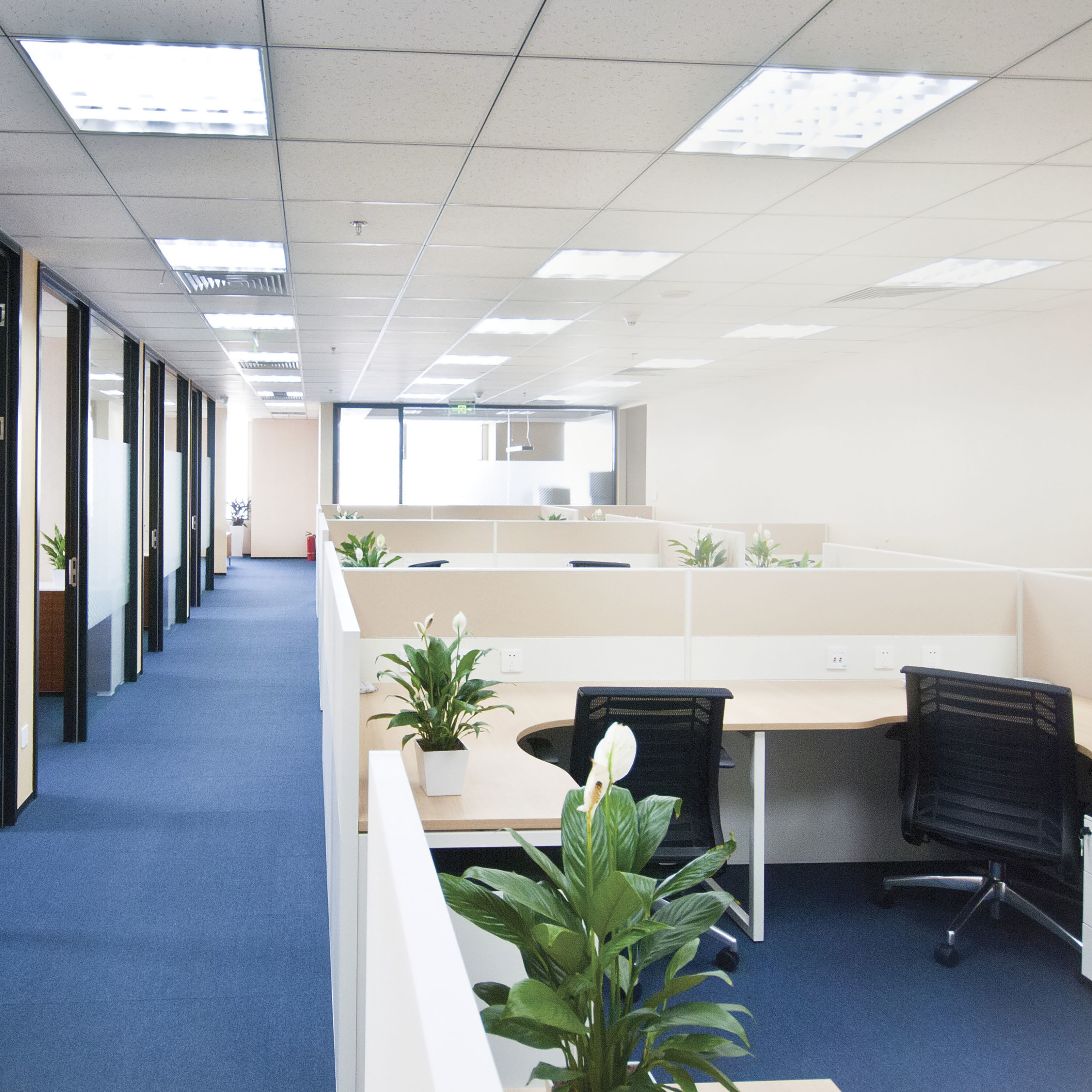 Lumos LED Medium Bi Pin 10.00 watt 120 5000K Light Bulb