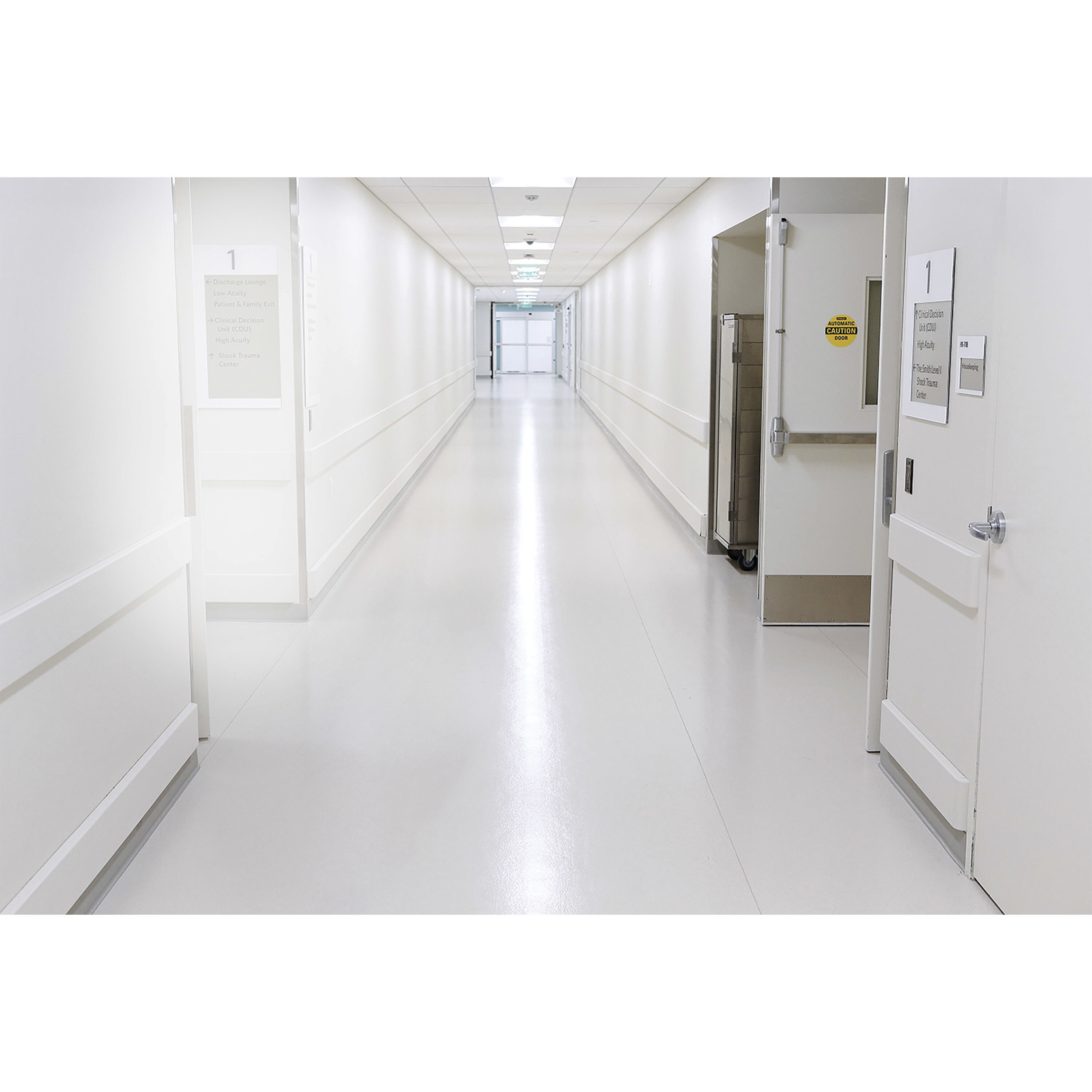 Lumos LED Medium Bi Pin 4000K LED T8