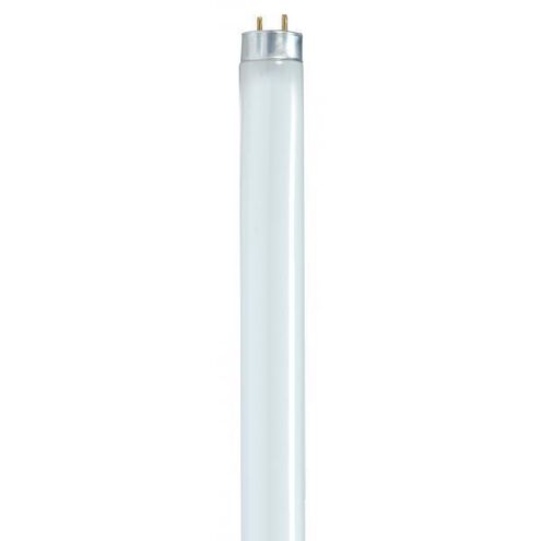Lumos Fluorescent 32 watt 3000K Light Bulb, T8 Linear