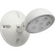 Edgewood LED White Emergency Lighting Wall Light
