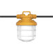 Hi-Pro LED Plug 2-Prong 50.00 watt 5000K LED HID Replacements