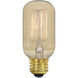 Lumos Incandescent T14 Medium E26 40 watt 120V 2700K Light Bulb