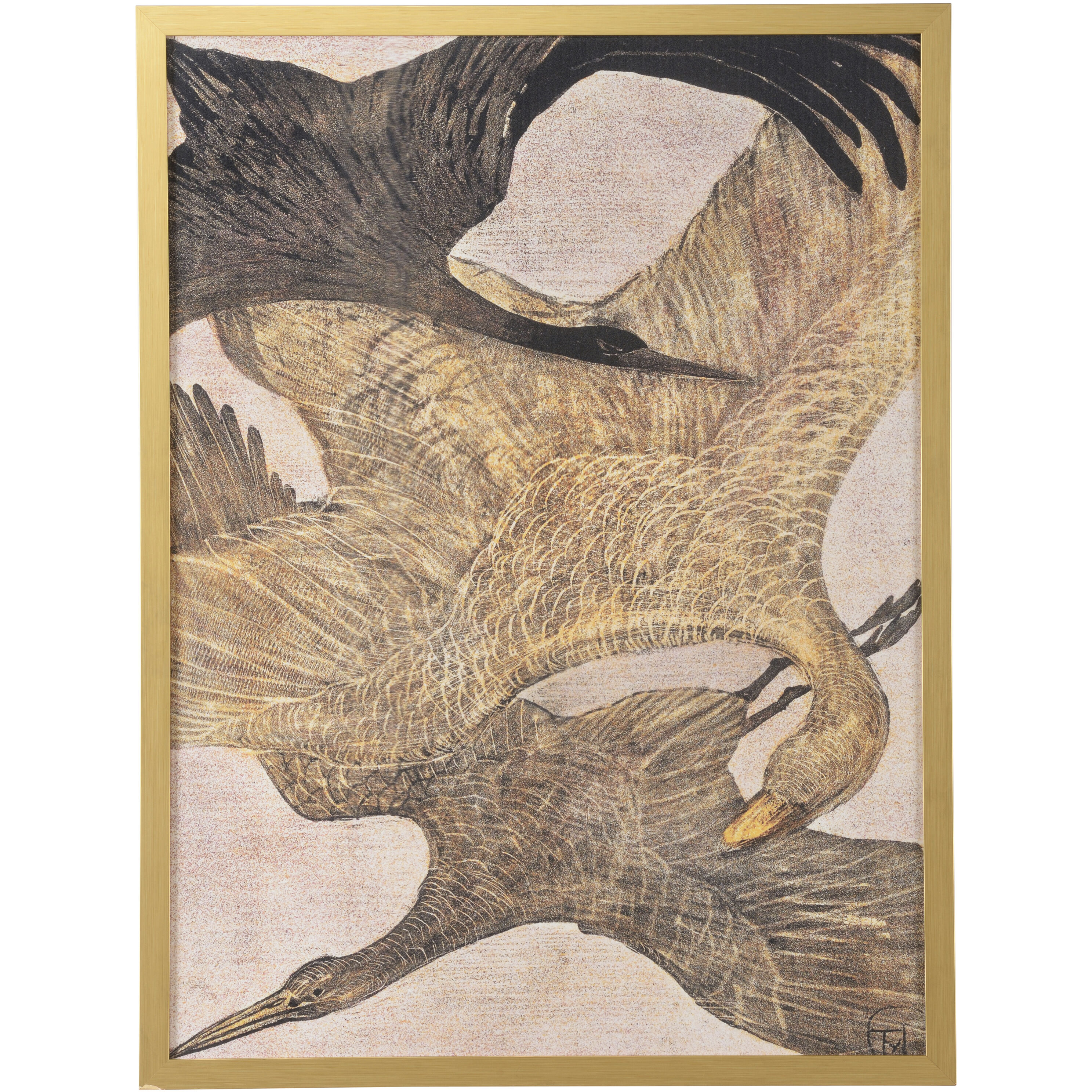 Trio of Birds in Flight 44.5 X 33.5 inch Print