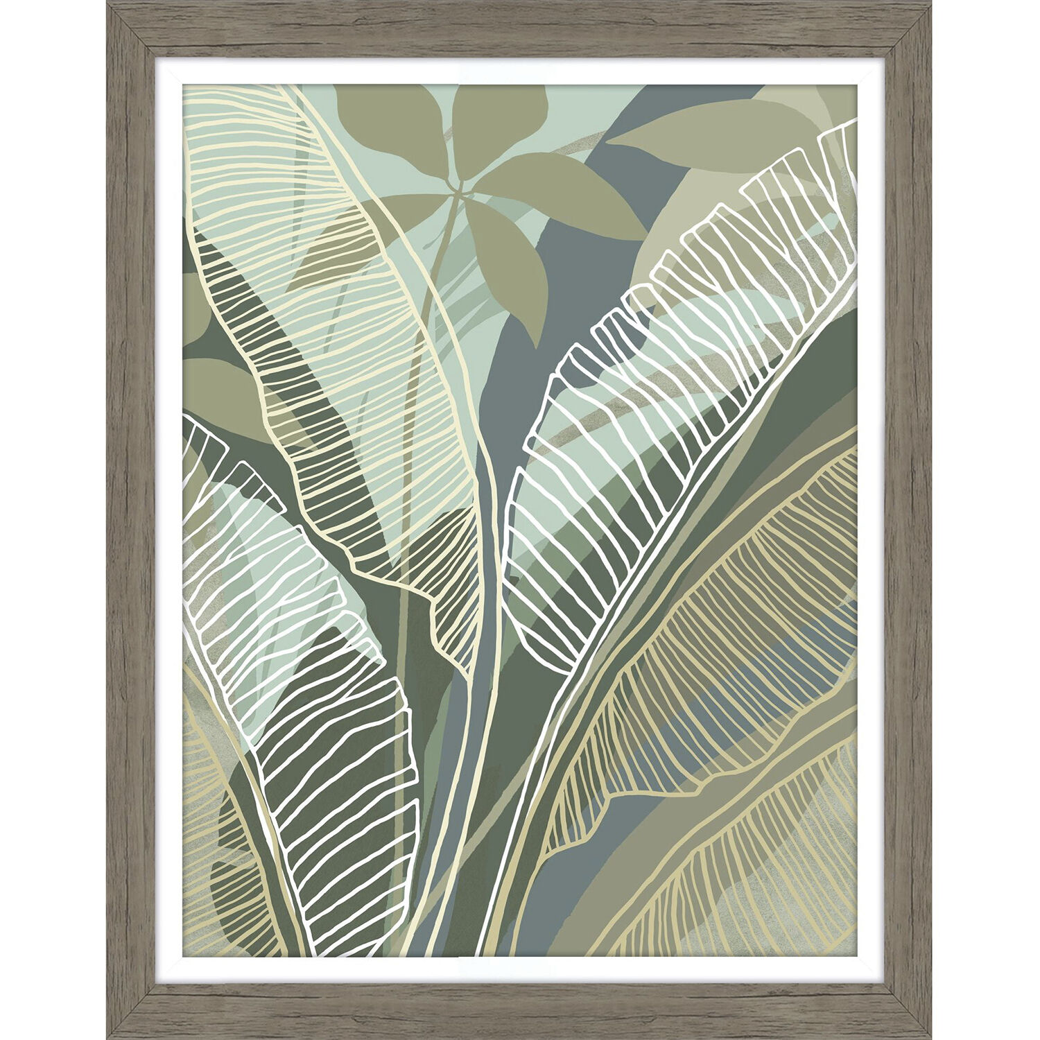 Tropical Botanical 28 X 22 inch Non-Glass Framed Art, Propac