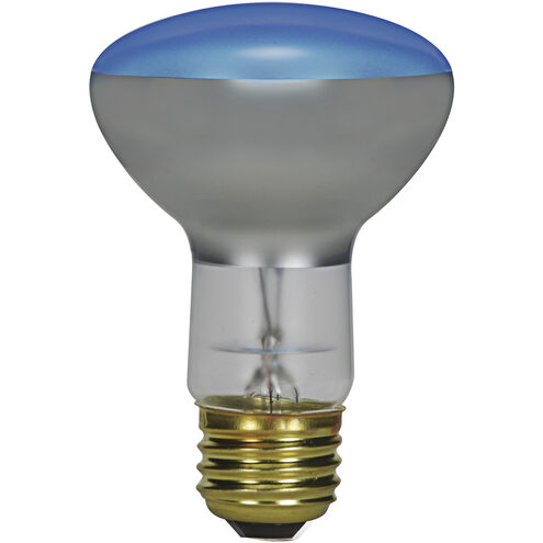 Lumos Incandescent R25 Medium E26 75 watt 120V Light Bulb