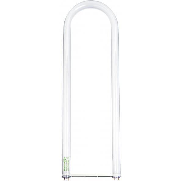 Lumos Fluorescent Medium Bi Pin 32 watt 4100K T8 Linear U Bend, T8 Linear U Bend