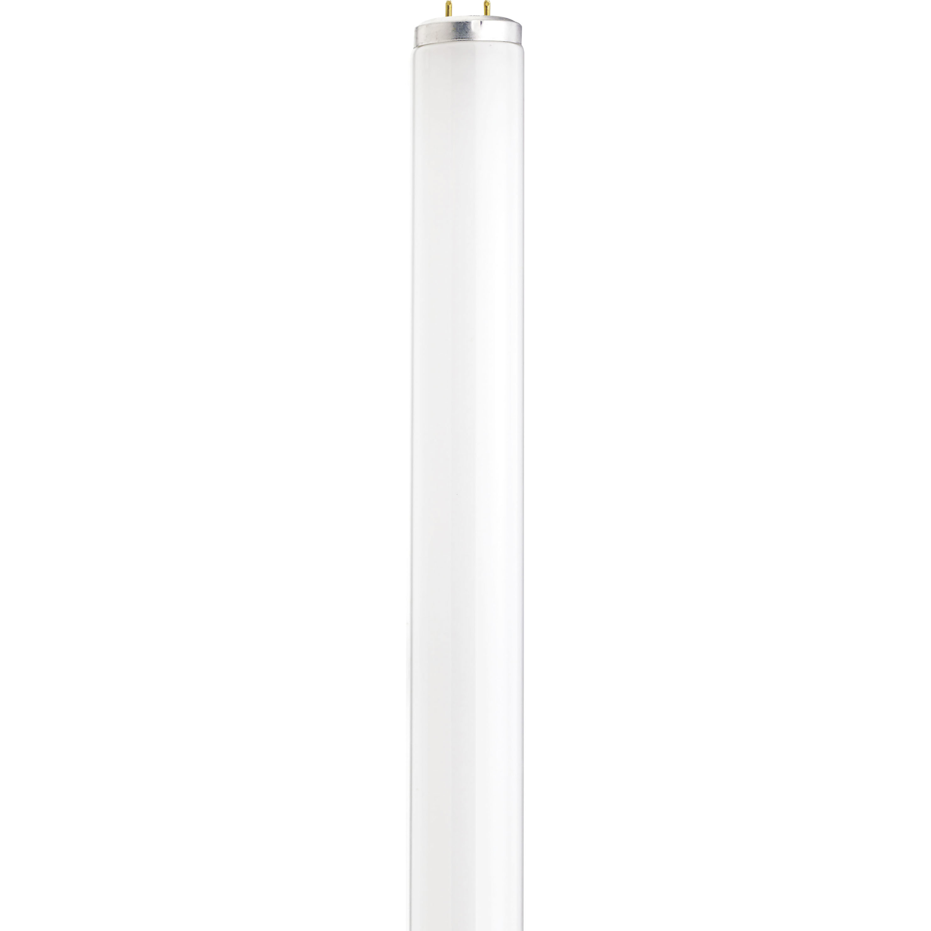 Lumos Fluorescent Medium Bi Pin 14 watt 6500K T12 Linear HO, T12 Linear HO