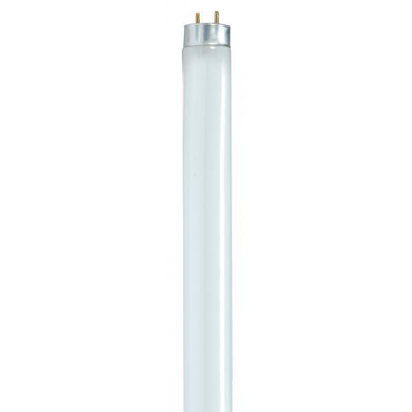Lumos Fluorescent 32 watt 3000K Light Bulb, T8 Linear High Lumen