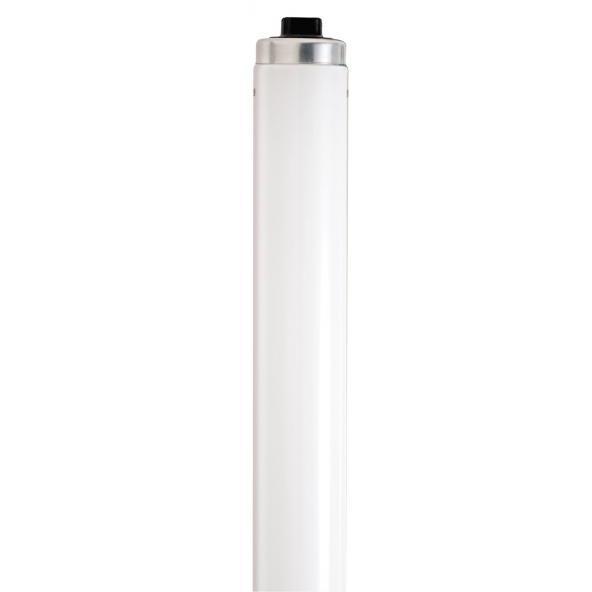 Lumos Fluorescent 60 watt 4200K Light Bulb, Shatter Proof