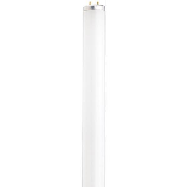 Lumos Fluorescent T12 Blacklight Medium Bi Pin 40 watt Light Bulbs