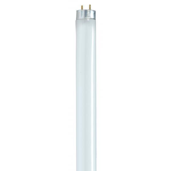 Lumos Fluorescent 17 watt 4100K Light Bulb, T8 Linear